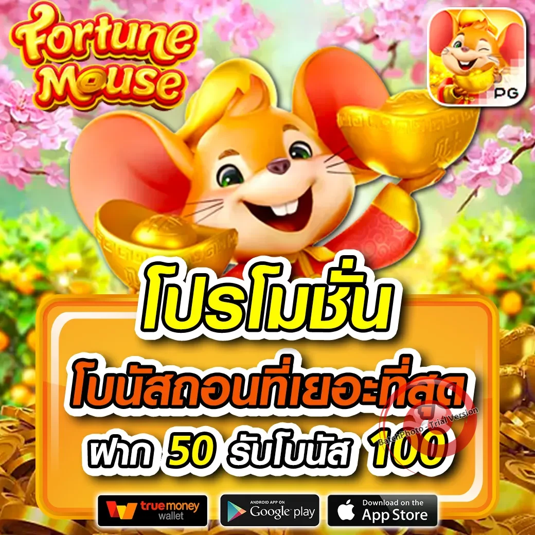 bigwin 4kingsbet